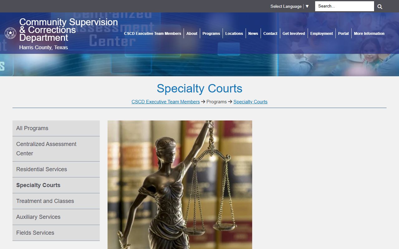 Harris County arrest records community supervision specialty courts page