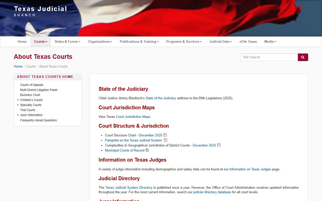 Texas Judicial Branch overview of Harris County court structure