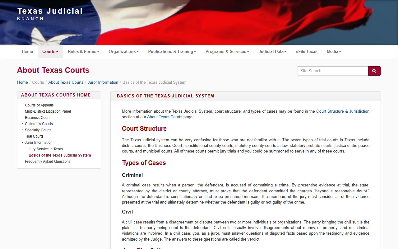 Harris County public records context from the Texas Judicial Branch system basics page